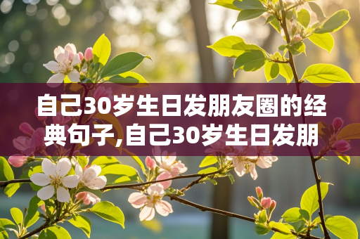 自己30岁生日发朋友圈的经典句子,自己30岁生日发朋友圈的经典句子搞笑