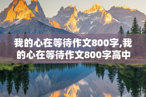 我的心在等待作文800字,我的心在等待作文800字高中