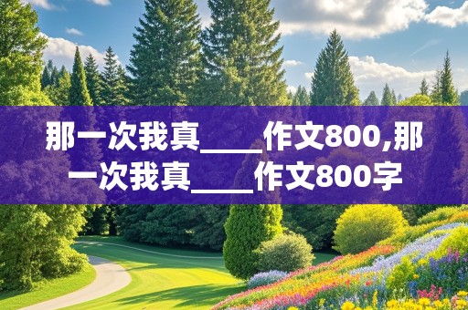 那一次我真____作文800,那一次我真____作文800字