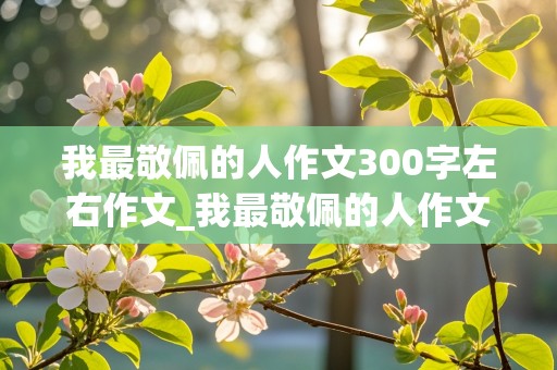 我最敬佩的人作文300字左右作文_我最敬佩的人作文300字左右作文怎么写