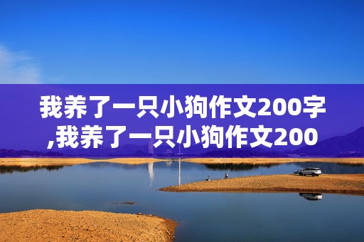 我养了一只小狗作文200字,我养了一只小狗作文200字怎么写