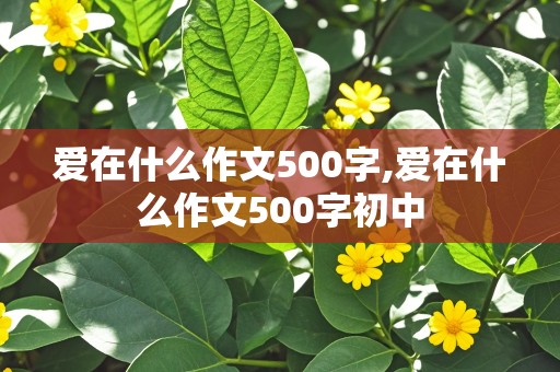 爱在什么作文500字,爱在什么作文500字初中