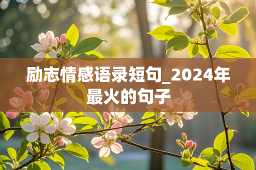 励志情感语录短句_2024年最火的句子