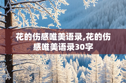 花的伤感唯美语录,花的伤感唯美语录30字