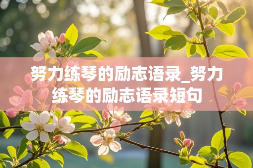 努力练琴的励志语录_努力练琴的励志语录短句