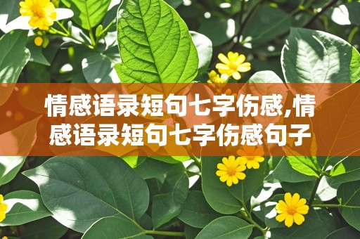 情感语录短句七字伤感,情感语录短句七字伤感句子