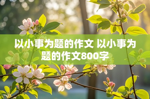 以小事为题的作文 以小事为题的作文800字