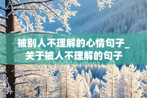 被别人不理解的心情句子_关于被人不理解的句子