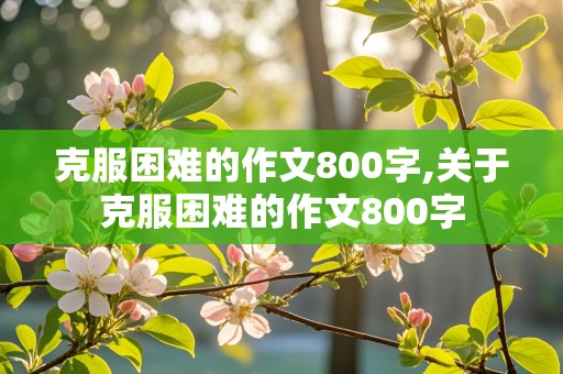 克服困难的作文800字,关于克服困难的作文800字