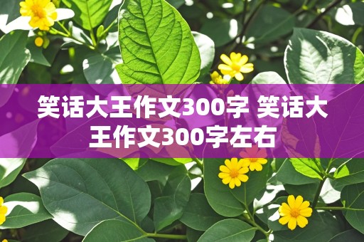 笑话大王作文300字 笑话大王作文300字左右