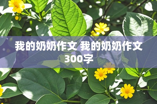 我的奶奶作文 我的奶奶作文300字