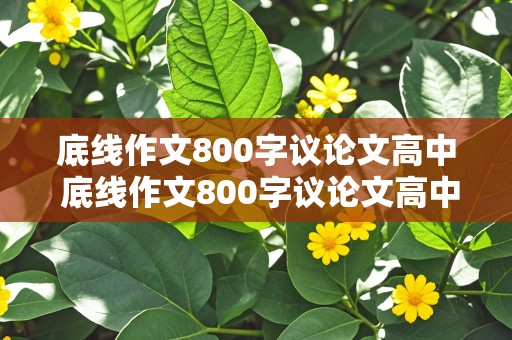 底线作文800字议论文高中 底线作文800字议论文高中事例