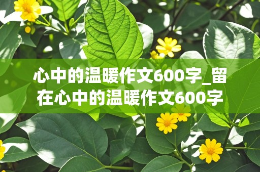 心中的温暖作文600字_留在心中的温暖作文600字