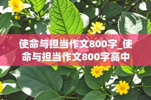 使命与担当作文800字_使命与担当作文800字高中