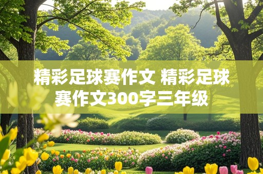 精彩足球赛作文 精彩足球赛作文300字三年级