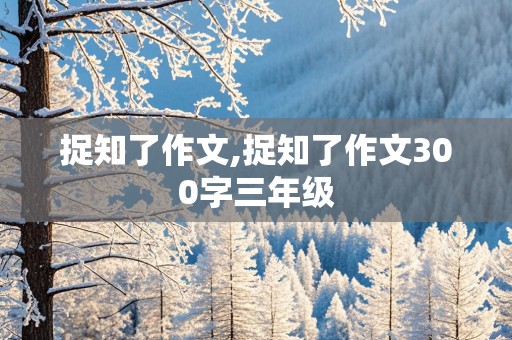 捉知了作文,捉知了作文300字三年级