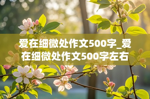 爱在细微处作文500字_爱在细微处作文500字左右