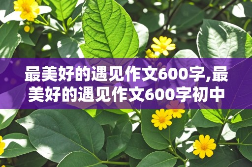 最美好的遇见作文600字,最美好的遇见作文600字初中