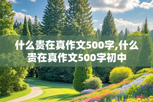 什么贵在真作文500字,什么贵在真作文500字初中