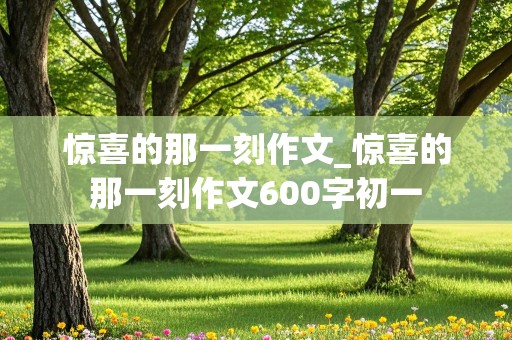 惊喜的那一刻作文_惊喜的那一刻作文600字初一