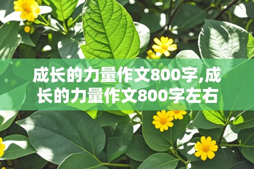 成长的力量作文800字,成长的力量作文800字左右