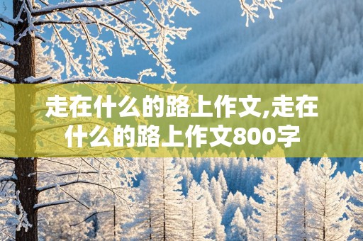 走在什么的路上作文,走在什么的路上作文800字