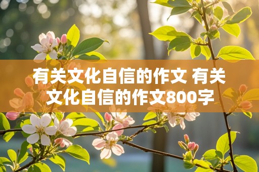 有关文化自信的作文 有关文化自信的作文800字