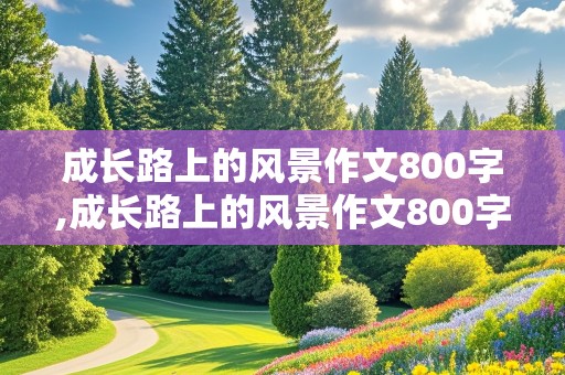 成长路上的风景作文800字,成长路上的风景作文800字记叙文