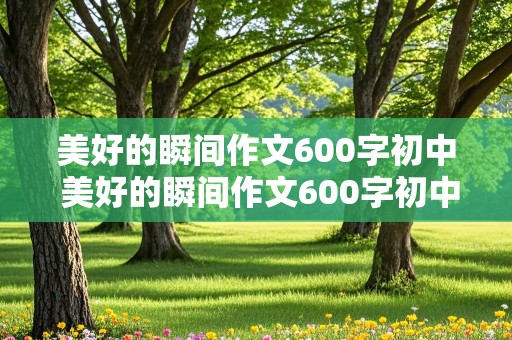 美好的瞬间作文600字初中 美好的瞬间作文600字初中记叙文