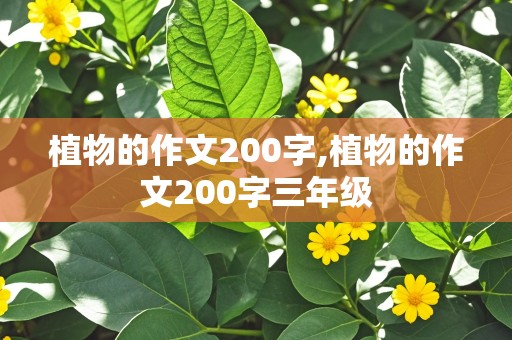 植物的作文200字,植物的作文200字三年级