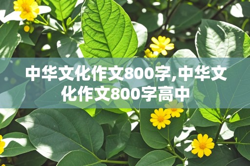 中华文化作文800字,中华文化作文800字高中