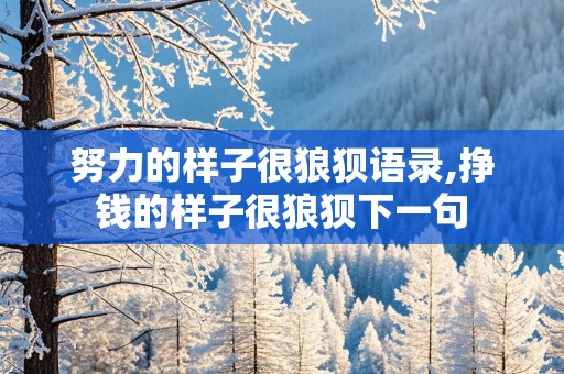 努力的样子很狼狈语录,挣钱的样子很狼狈下一句