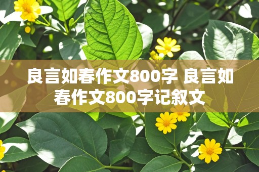 良言如春作文800字 良言如春作文800字记叙文