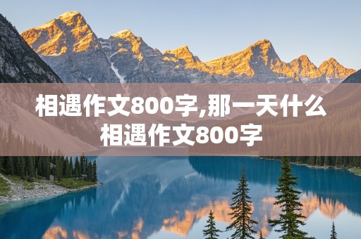 相遇作文800字,那一天什么相遇作文800字