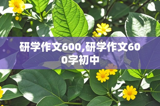 研学作文600,研学作文600字初中