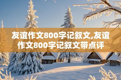 友谊作文800字记叙文,友谊作文800字记叙文带点评