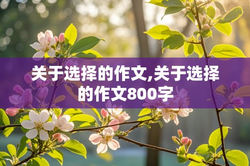 关于选择的作文,关于选择的作文800字