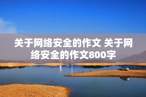 关于网络安全的作文 关于网络安全的作文800字