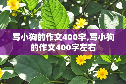 写小狗的作文400字,写小狗的作文400字左右