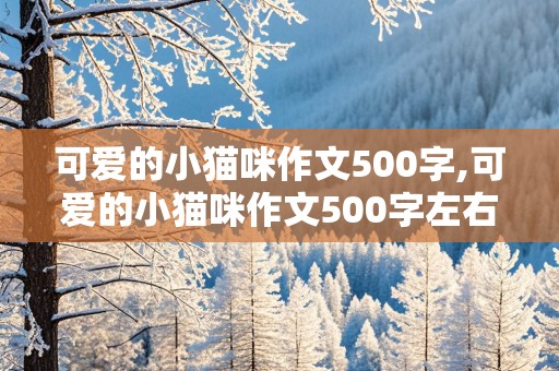 可爱的小猫咪作文500字,可爱的小猫咪作文500字左右