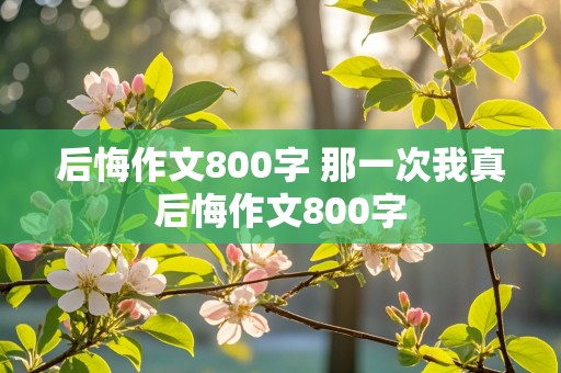 后悔作文800字 那一次我真后悔作文800字