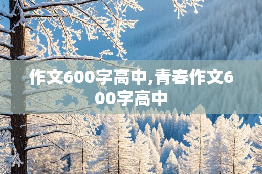 作文600字高中,青春作文600字高中