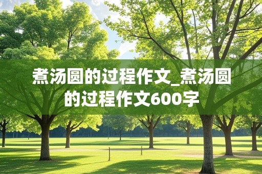 煮汤圆的过程作文_煮汤圆的过程作文600字