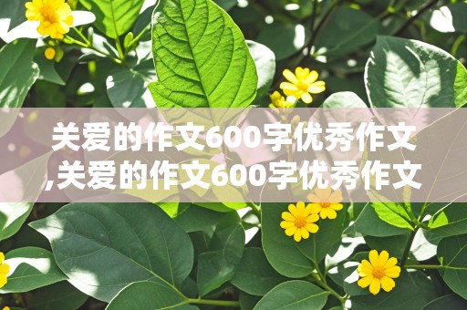 关爱的作文600字优秀作文,关爱的作文600字优秀作文发烧