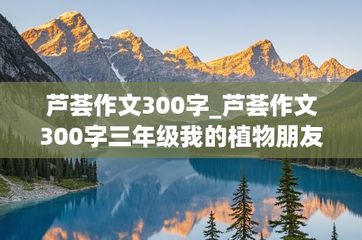 芦荟作文300字_芦荟作文300字三年级我的植物朋友