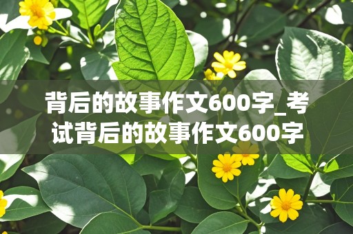 背后的故事作文600字_考试背后的故事作文600字