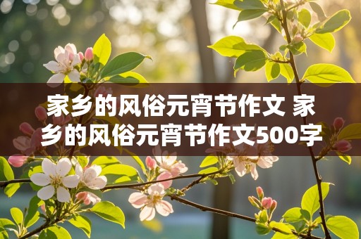 家乡的风俗元宵节作文 家乡的风俗元宵节作文500字