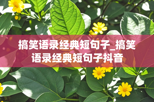 搞笑语录经典短句子_搞笑语录经典短句子抖音