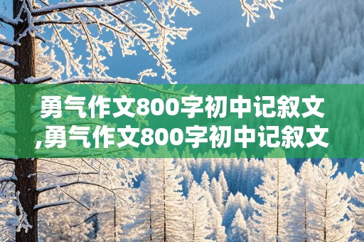 勇气作文800字初中记叙文,勇气作文800字初中记叙文一件事