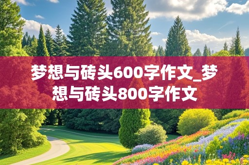 梦想与砖头600字作文_梦想与砖头800字作文